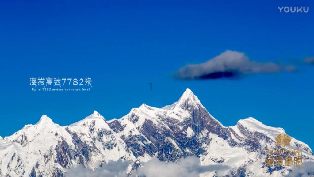 口袋侏罗纪